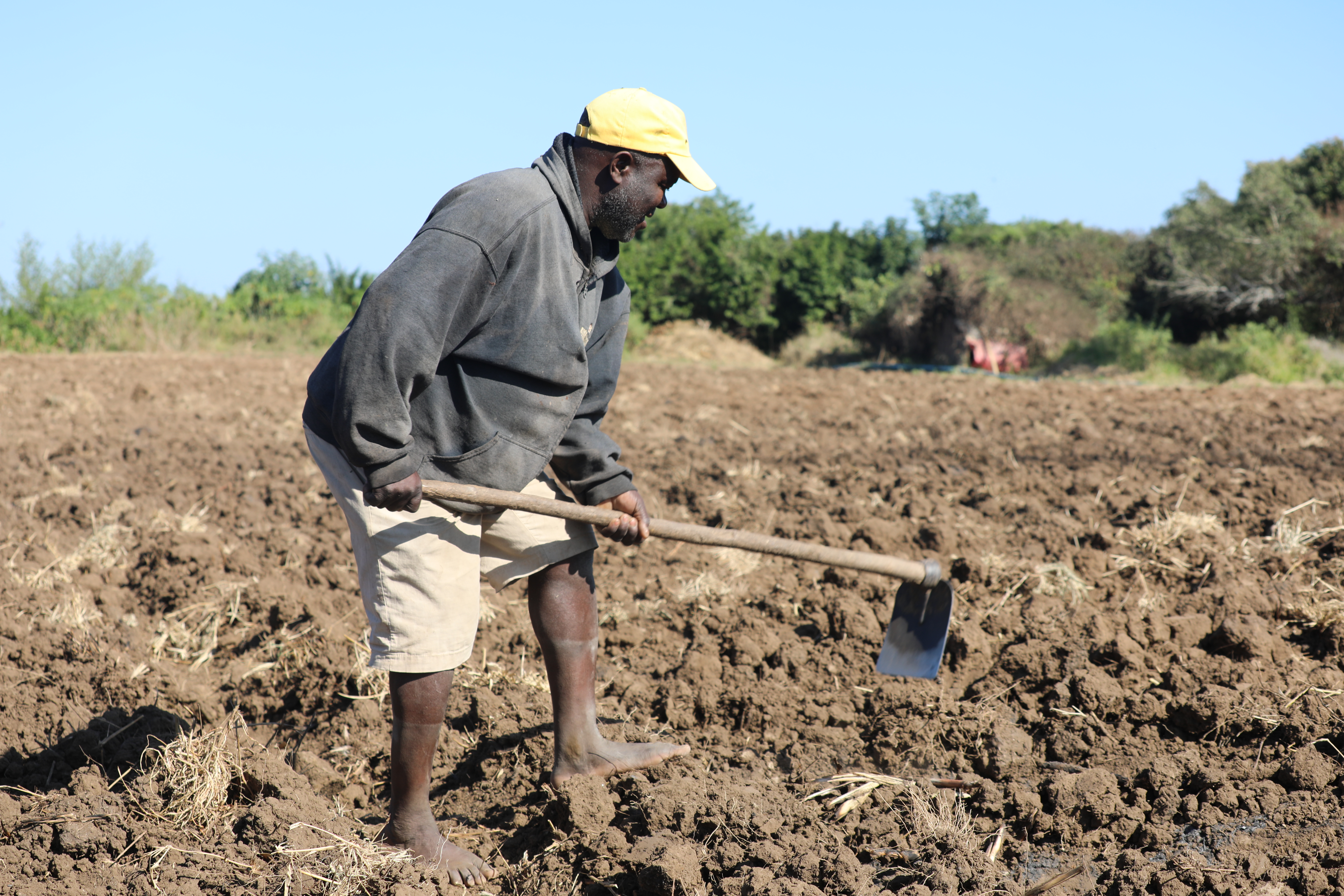 Pastor Américo preparing the land for a new crop