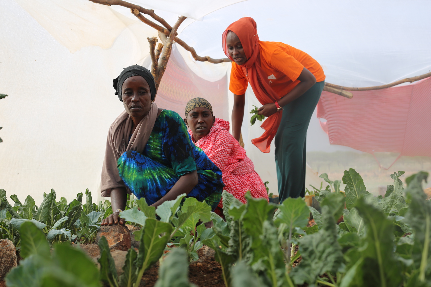 Saroi and other women in Kenya's Laisamis County that have embraced kitchen gardens. @World Vision Photo/By Irene Sinoya