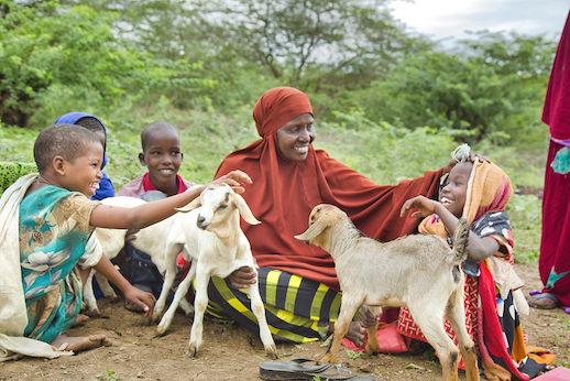 Halima and her family proud of their herd.