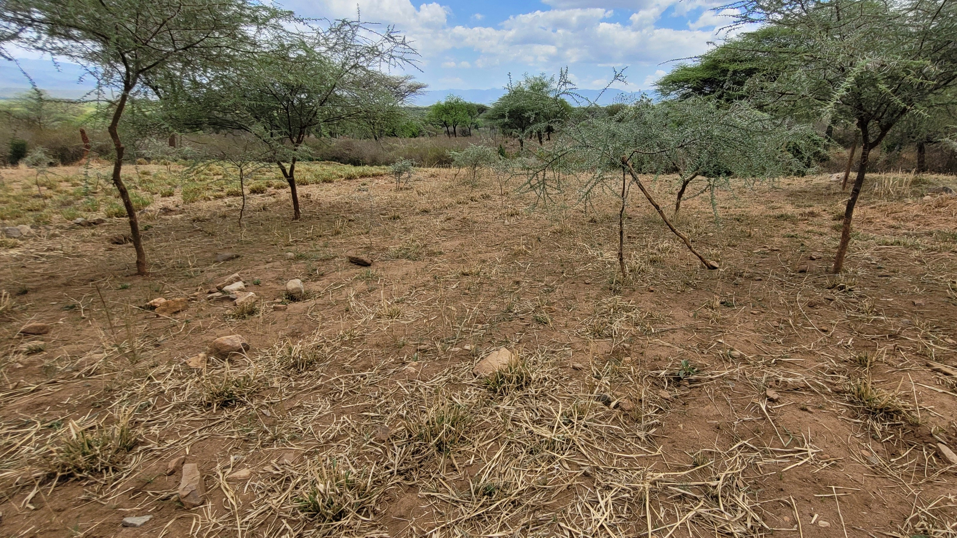 Joyce’s farm during the dry season in March 2022. ©World Vision Photo/ Hellen Owuor