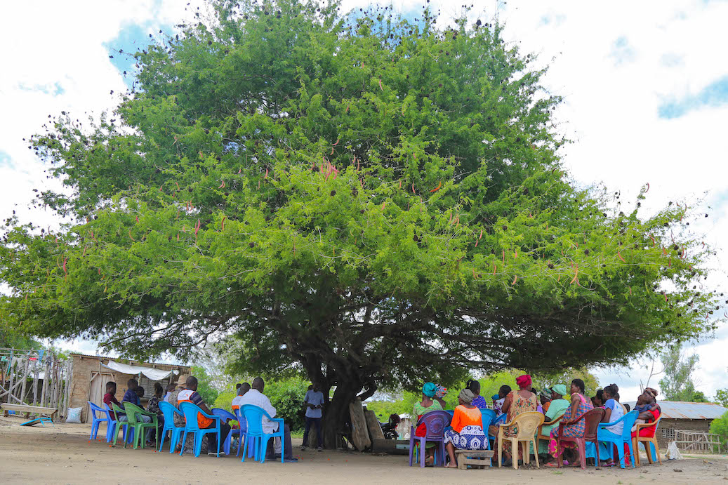 trees are beneficial