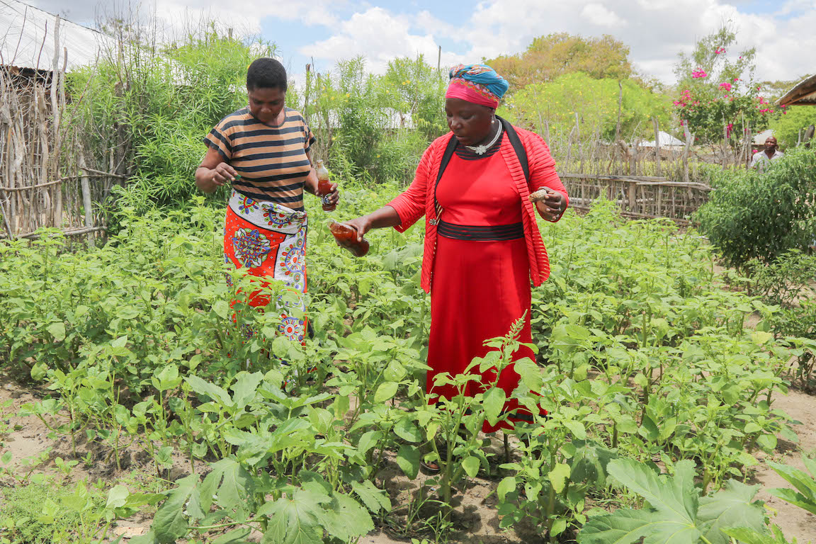 Supporting growth of a kitchen garden