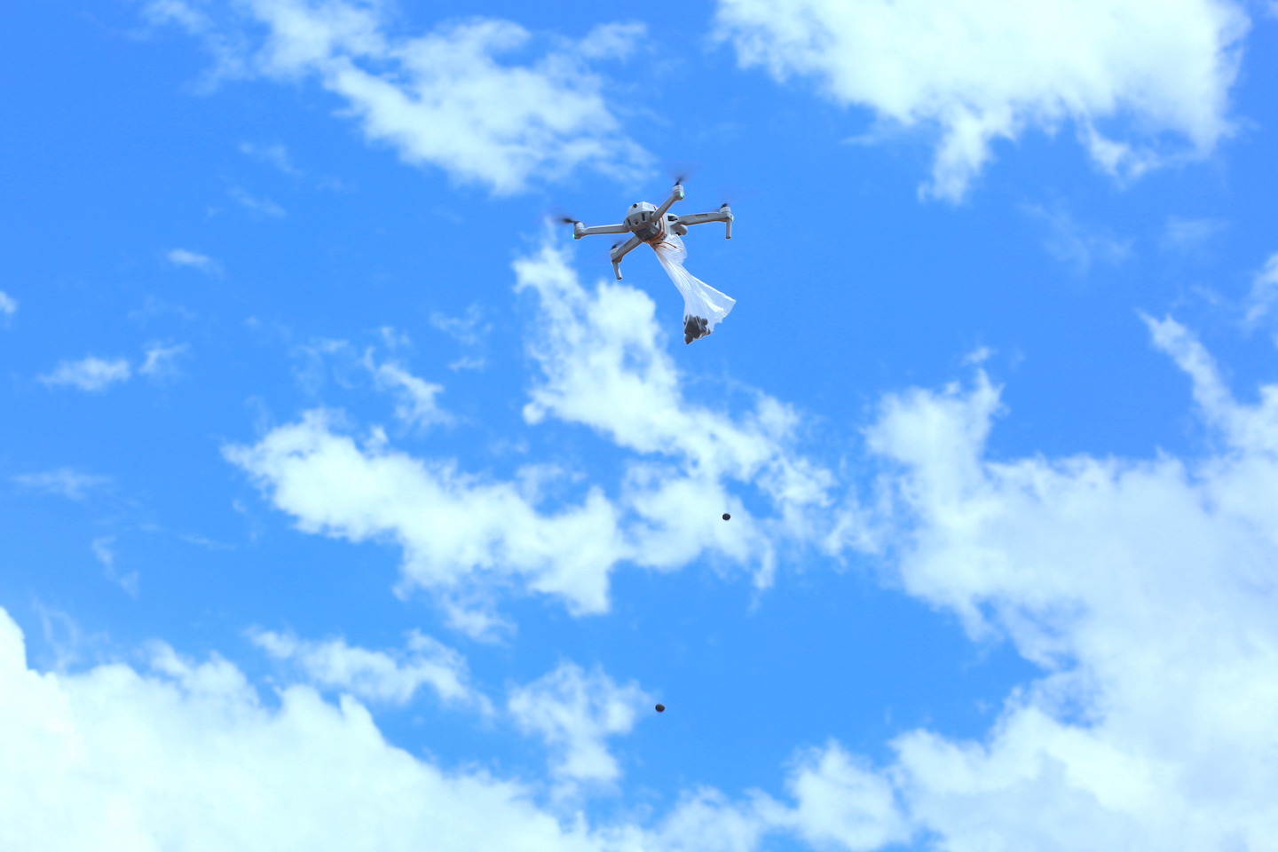 Drone technology in reseeding