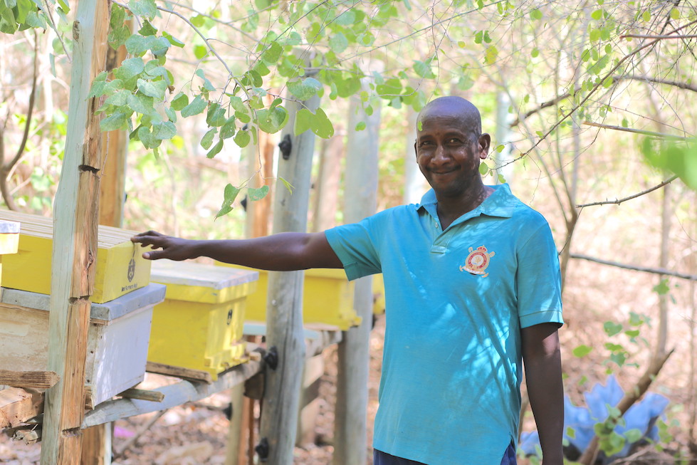 Bee keeping