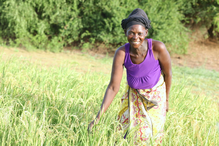 Farmers used to have enough to eat