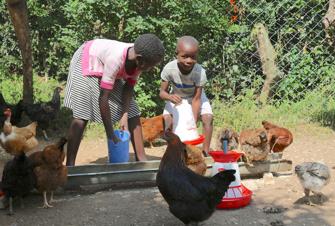 Stacy and Fabian feeding chickens at their home in 