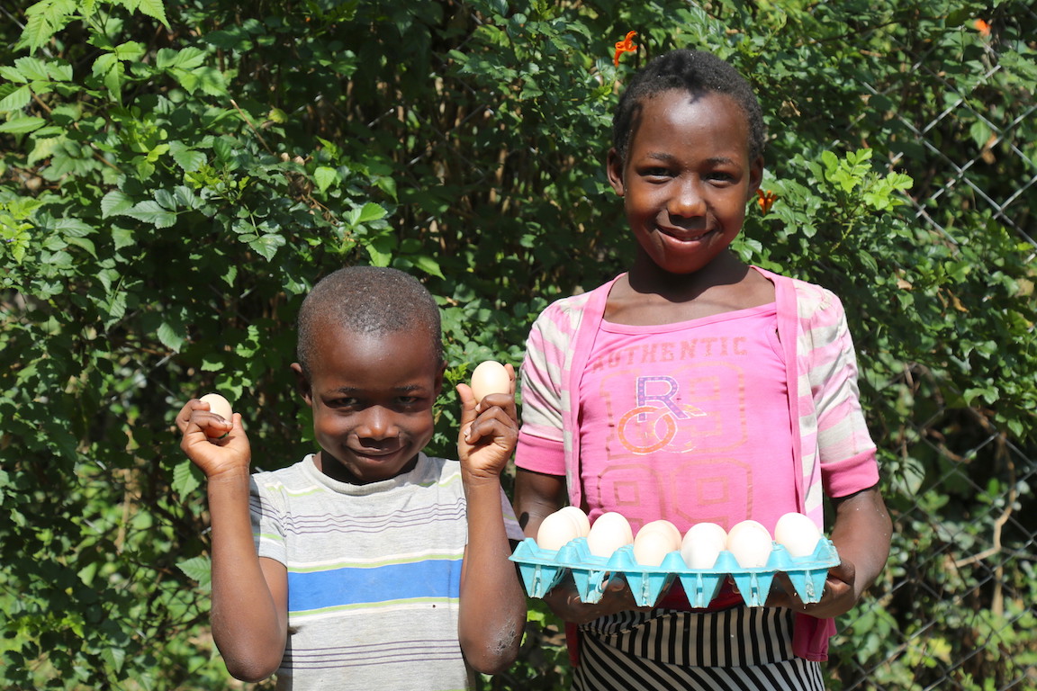 Stacy (11) holding a tray of eggs from their poultry farm in Angurai, Busia County, Kenya.