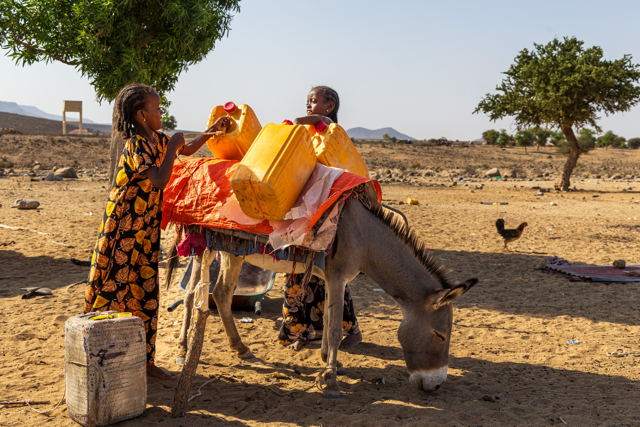 Ayan's elder daughter prepares the donkey to fetch water from a distant source. After a long journey, they return with water for the household.