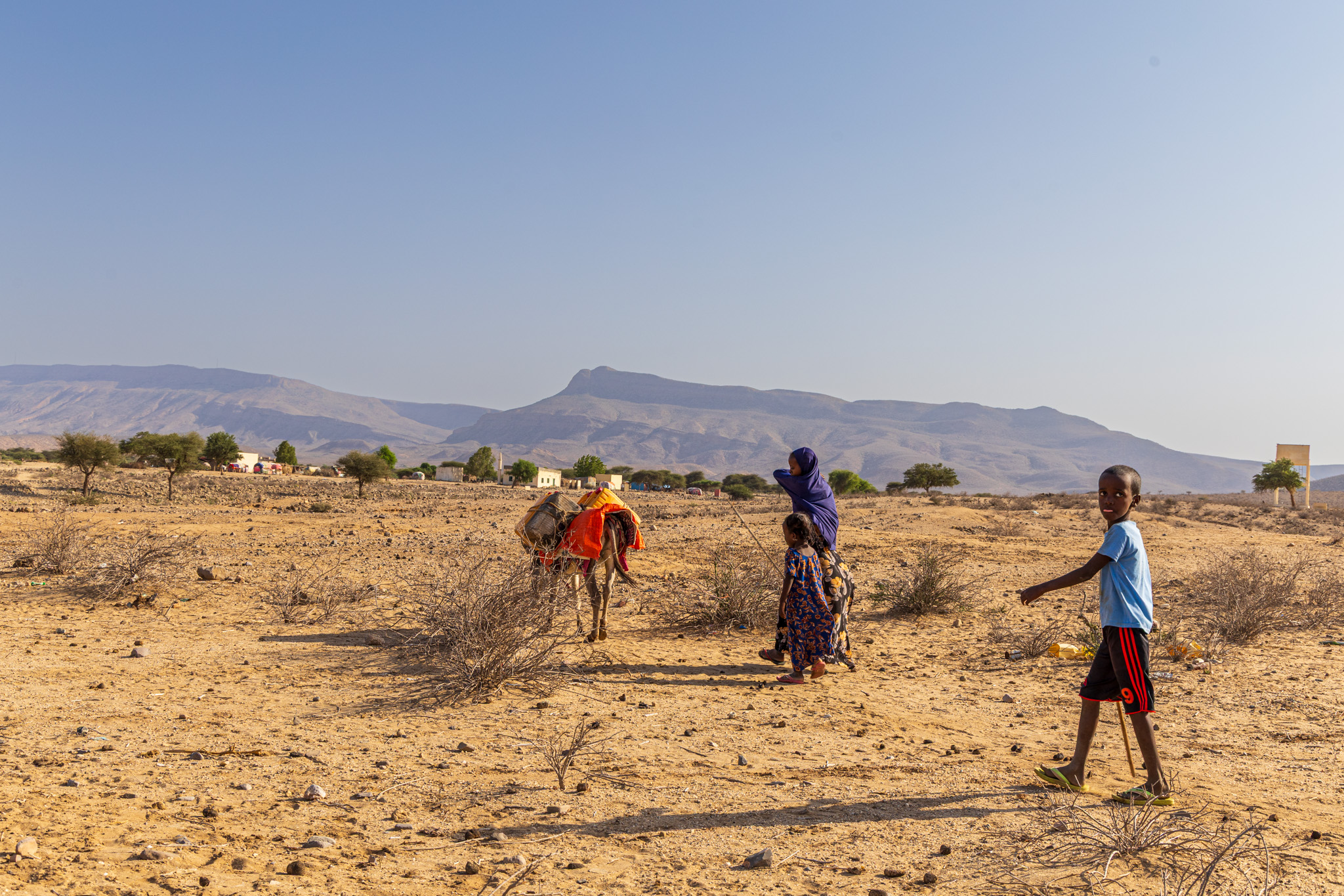 water from a distant source. After a long journey, they return with water for the household.