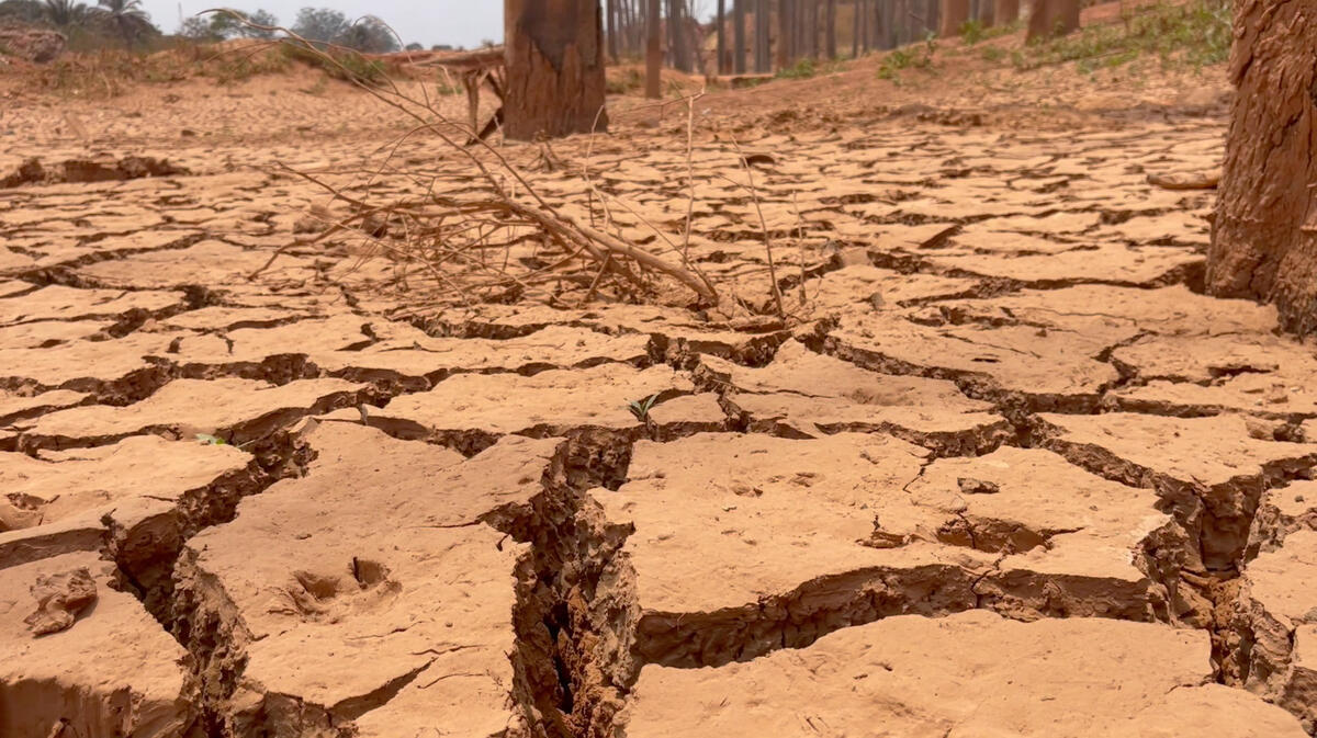 Mining activities and climate change effects dried up the Lake Bob