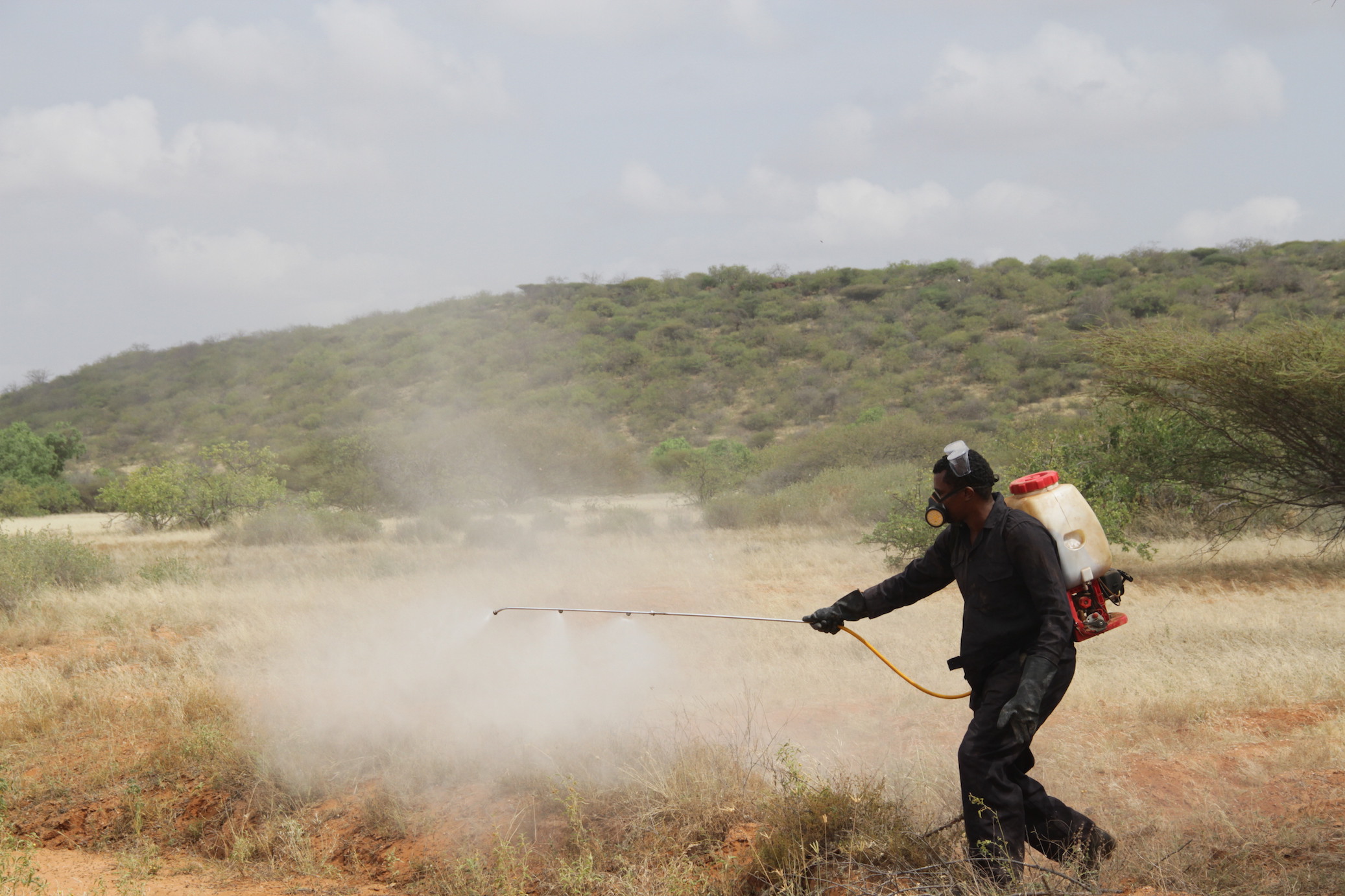 Ground spraying of locusts in Laisamis, Kenya.