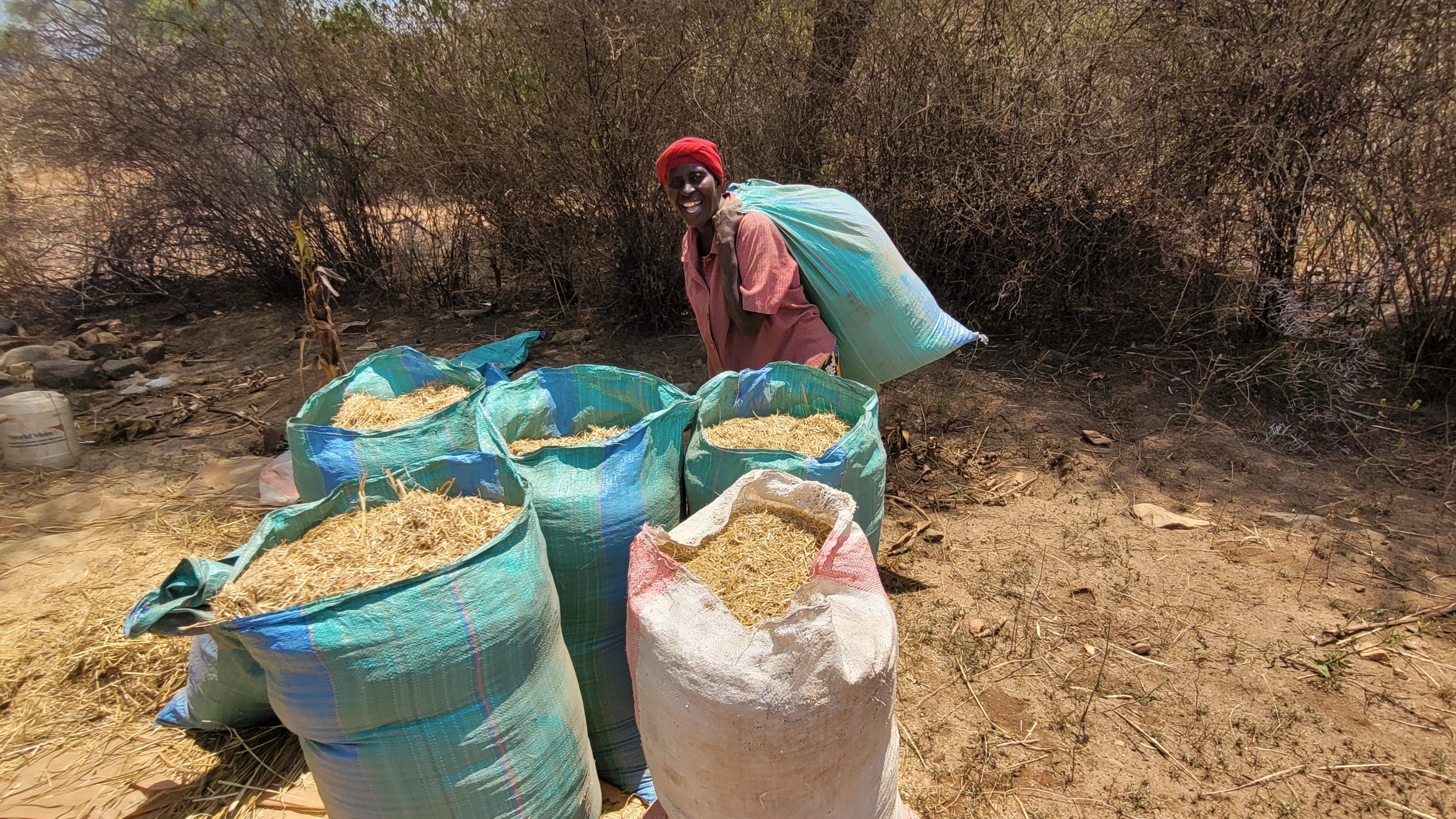 Joyce dried, ground and stored surplus pasture for their livestock. This cushioned them during the drought. ©World Vision Photo/ Hellen Owuor