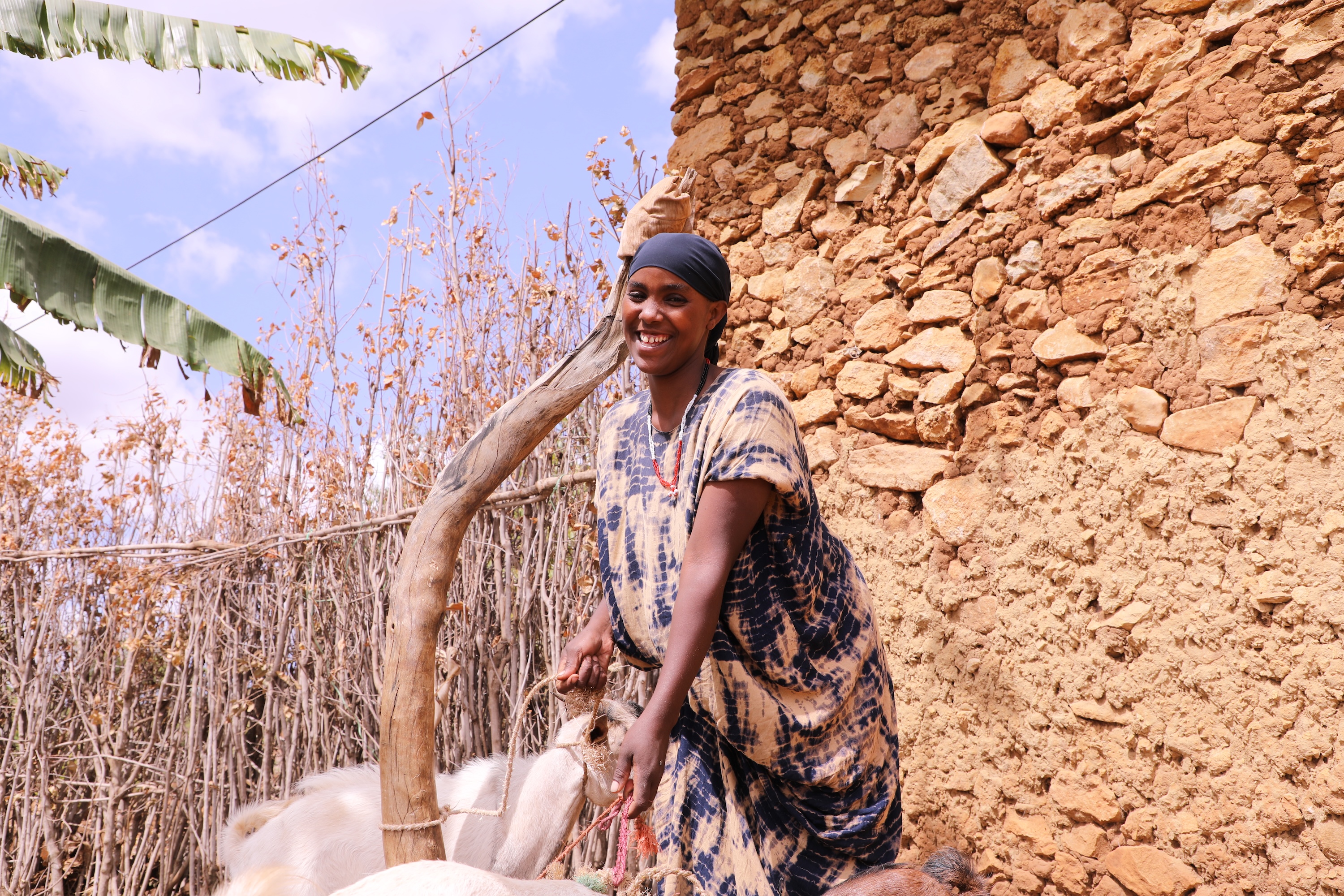 Ardo looking after her goats