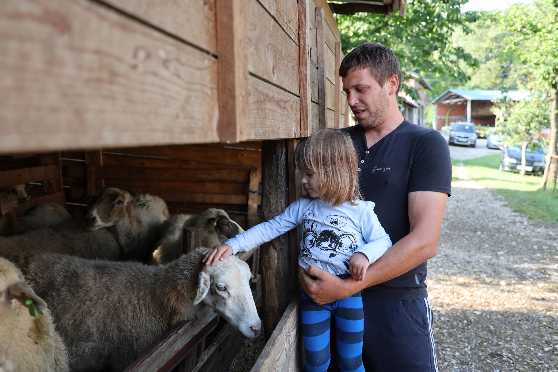 nadja petting animals