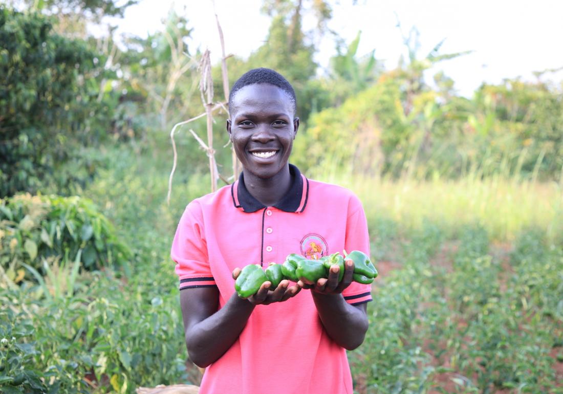 World Vision Uganda Resilience Secure Livelihoods Uganda Bugiri District Buwunga Farming Bell Pepper Farming as business