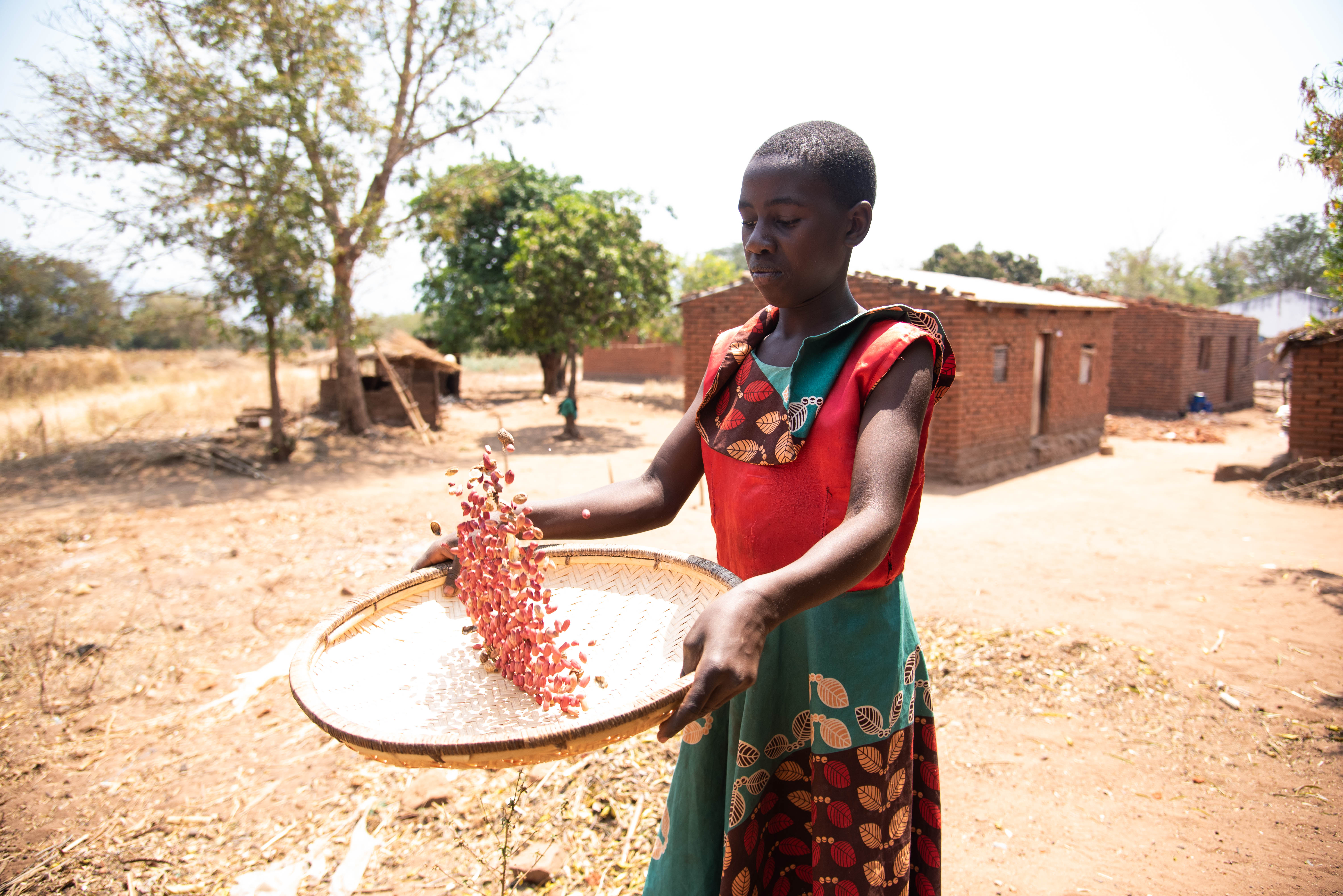 Jane's daughter Agness, grading groundnuts from their farm.