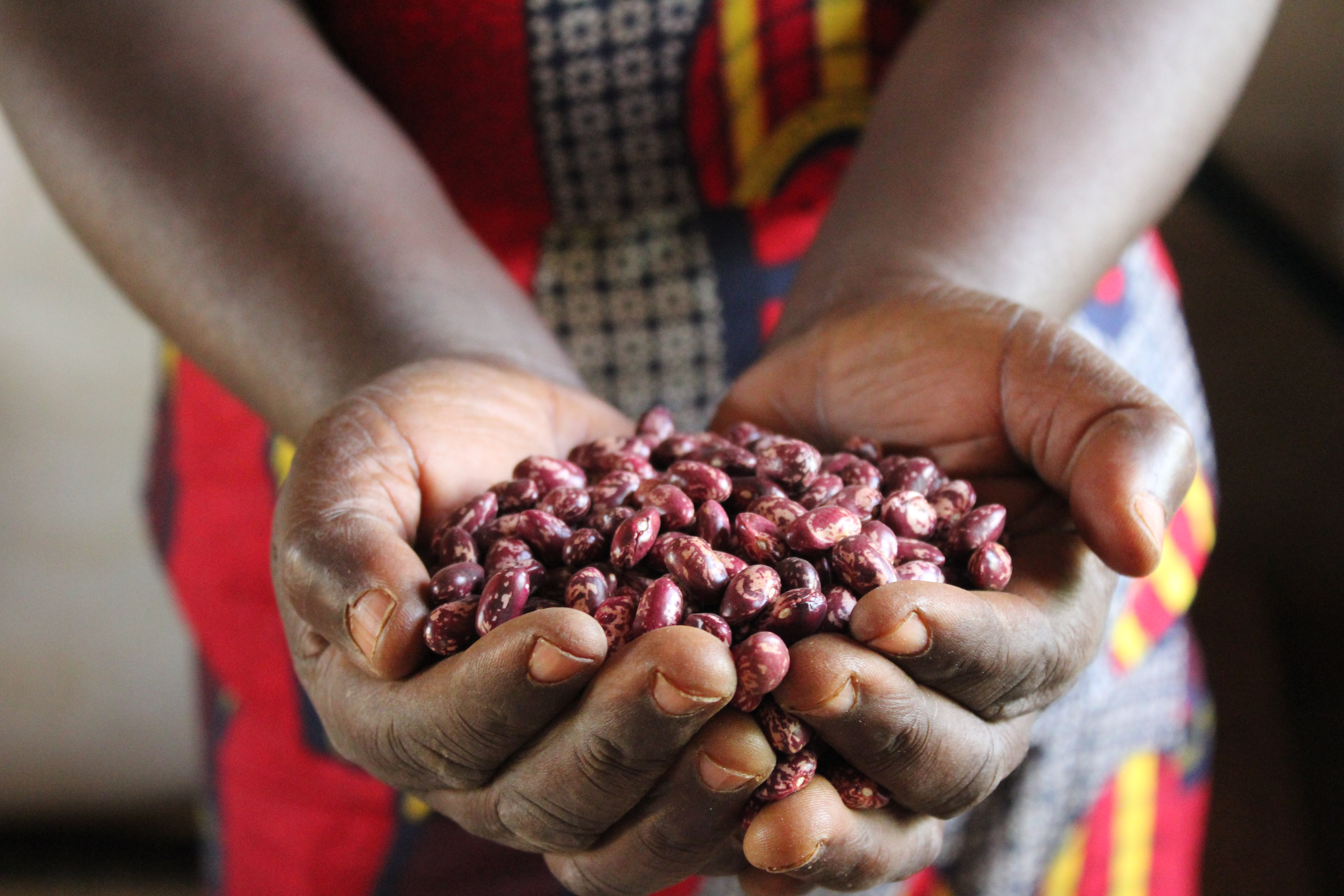 World Vision Uganda resilience livelihoods saving for tranformation dreams building secure livelihoods Household Enagement and Accountability Approach Clustering Households hoima kikuube