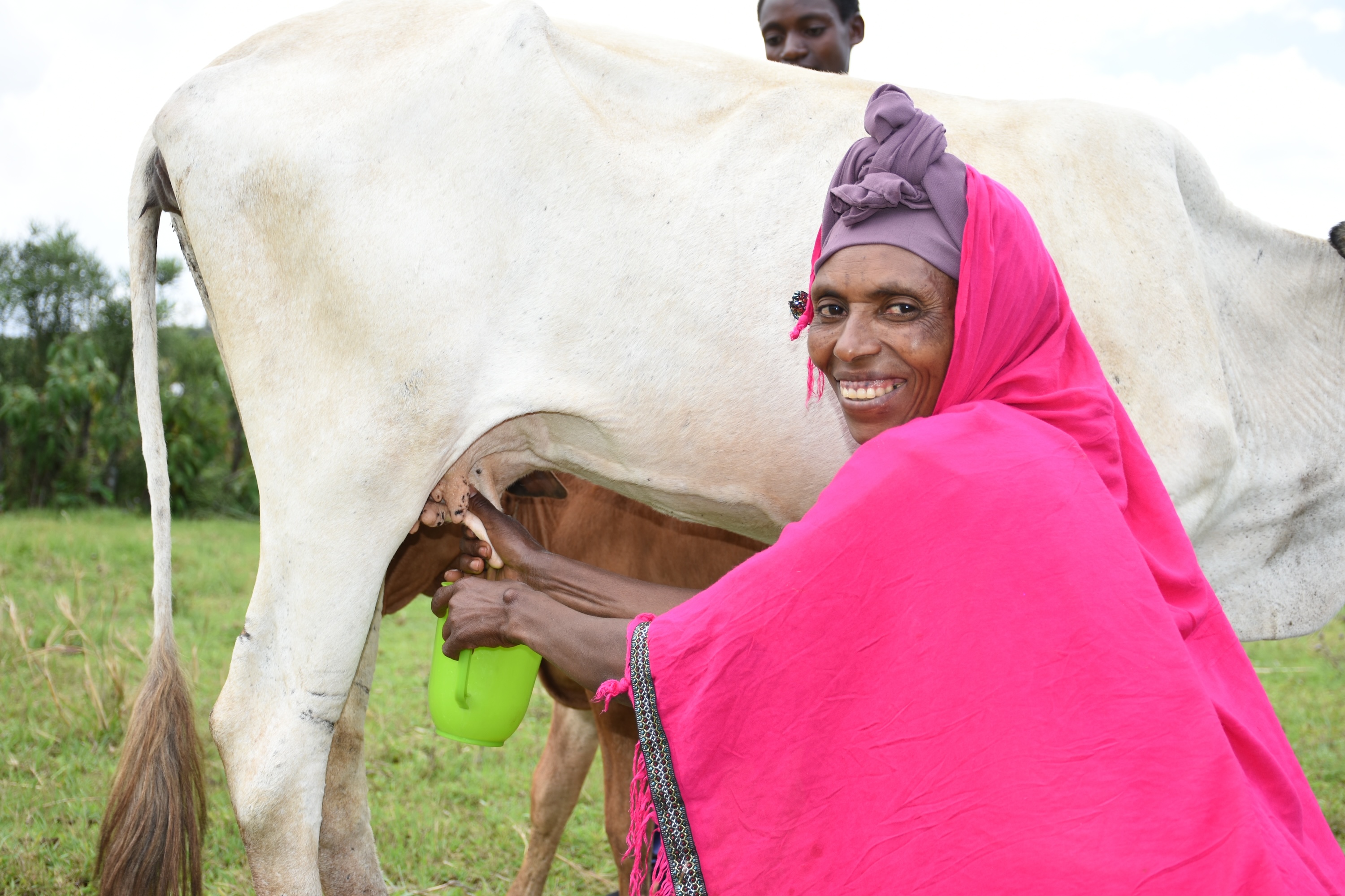 Alewya milking one of her cow