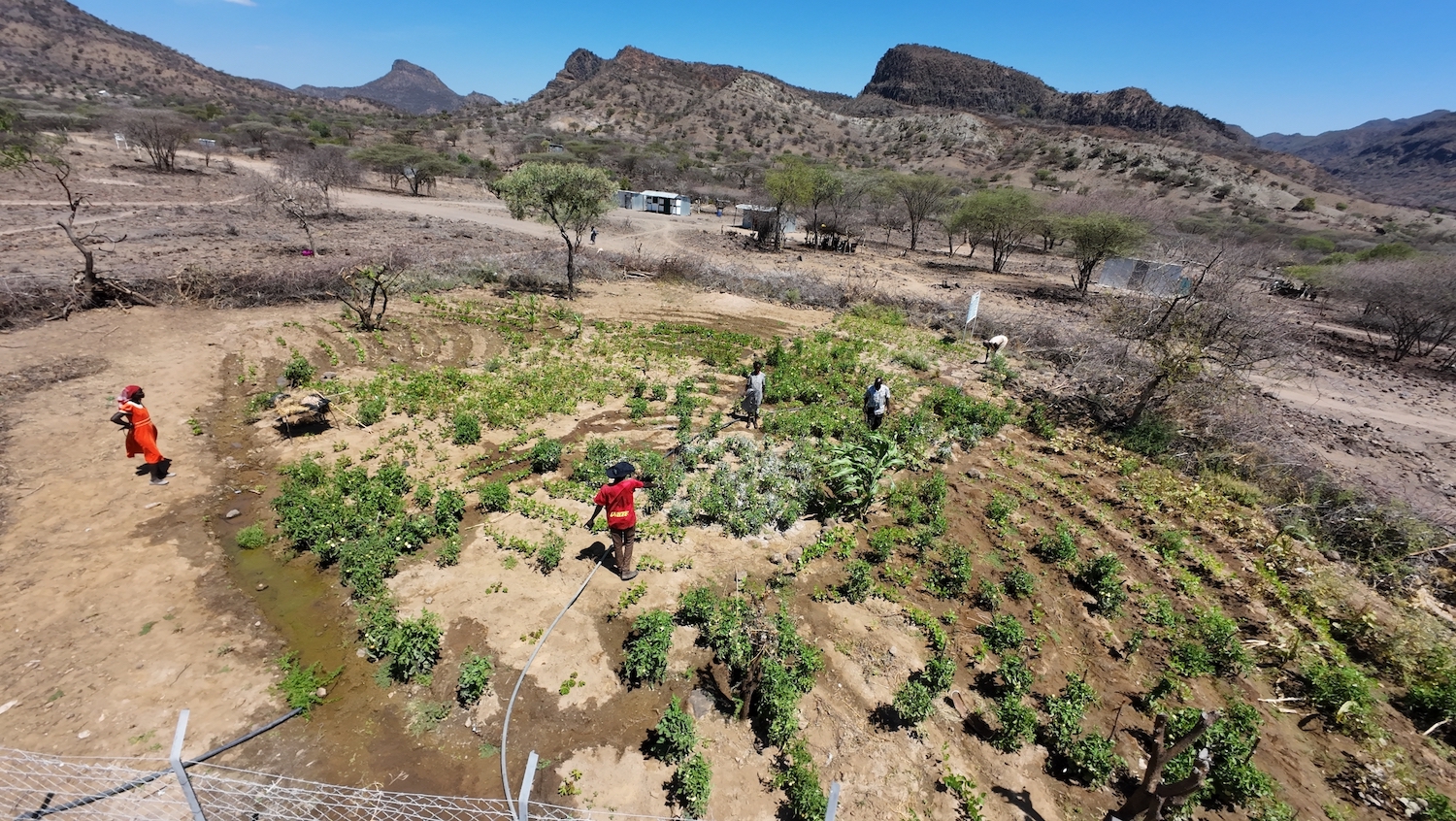 An aeriel view of Lorus farm in comparison with the rest of the dry areas in Kongor, Baringo County.