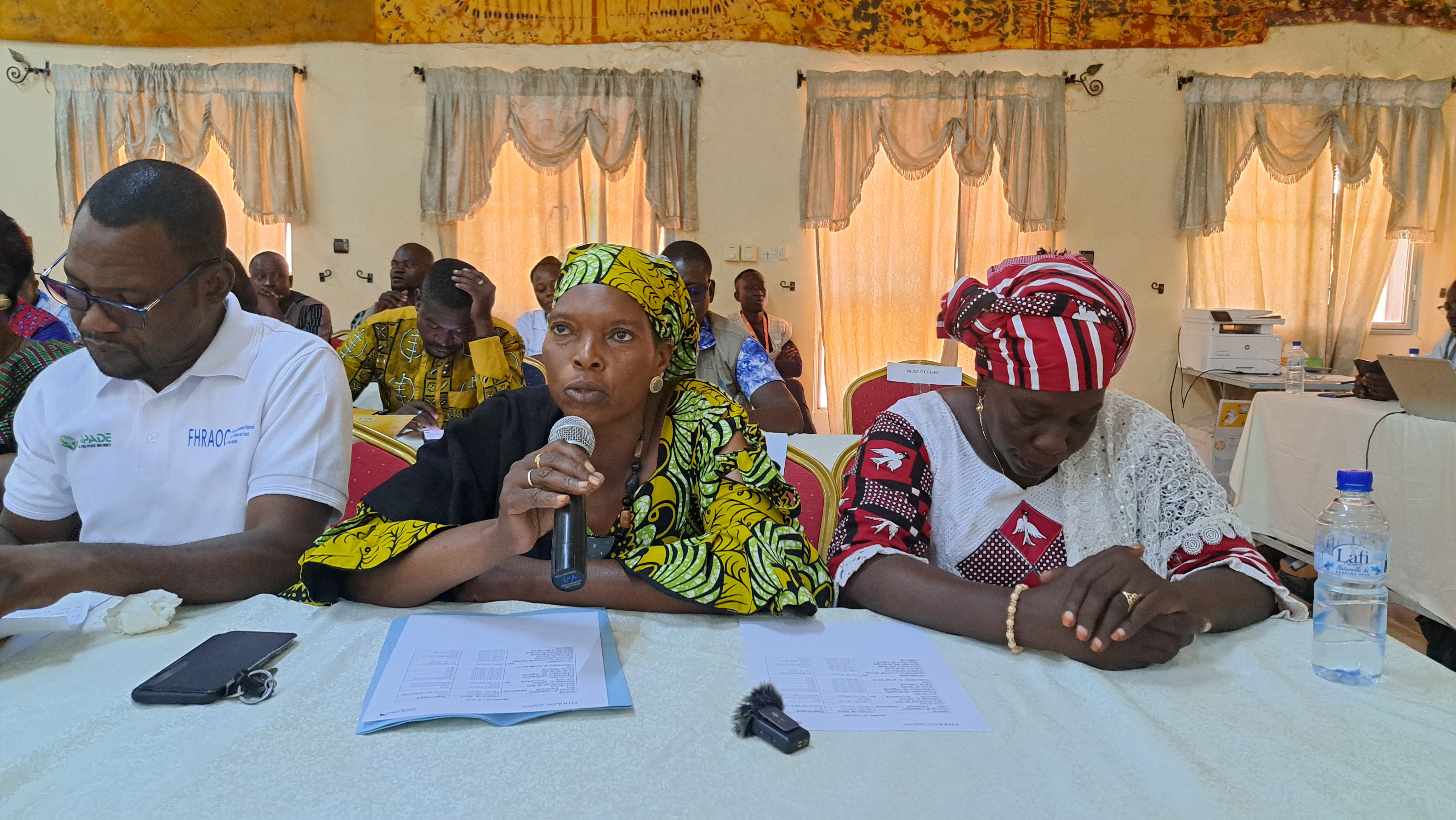 The SAVE Project Reviews Its Achievements in the Bankuy and Sourou Regions