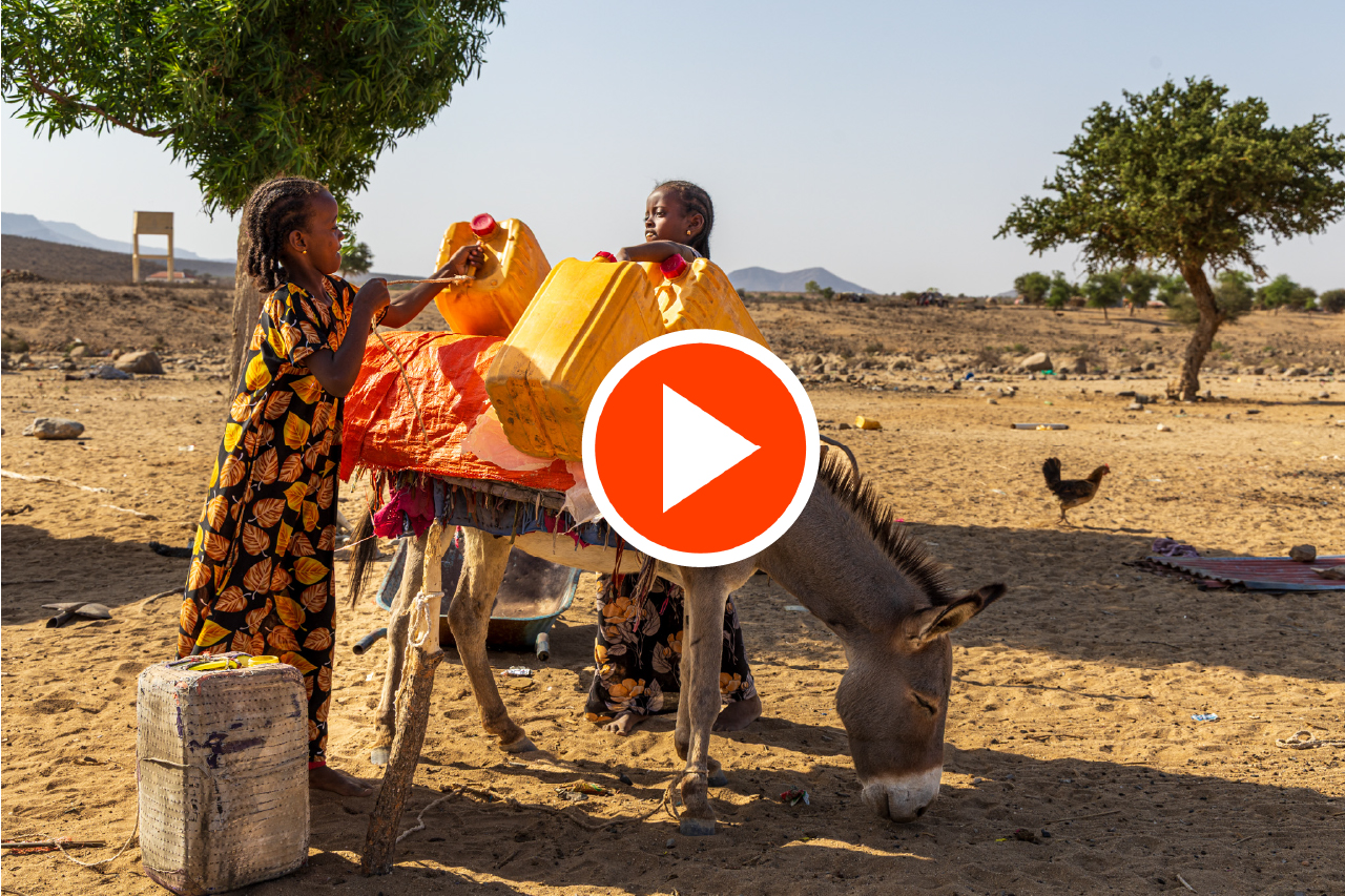 Ayan daughter's preparing donkey for fetching water