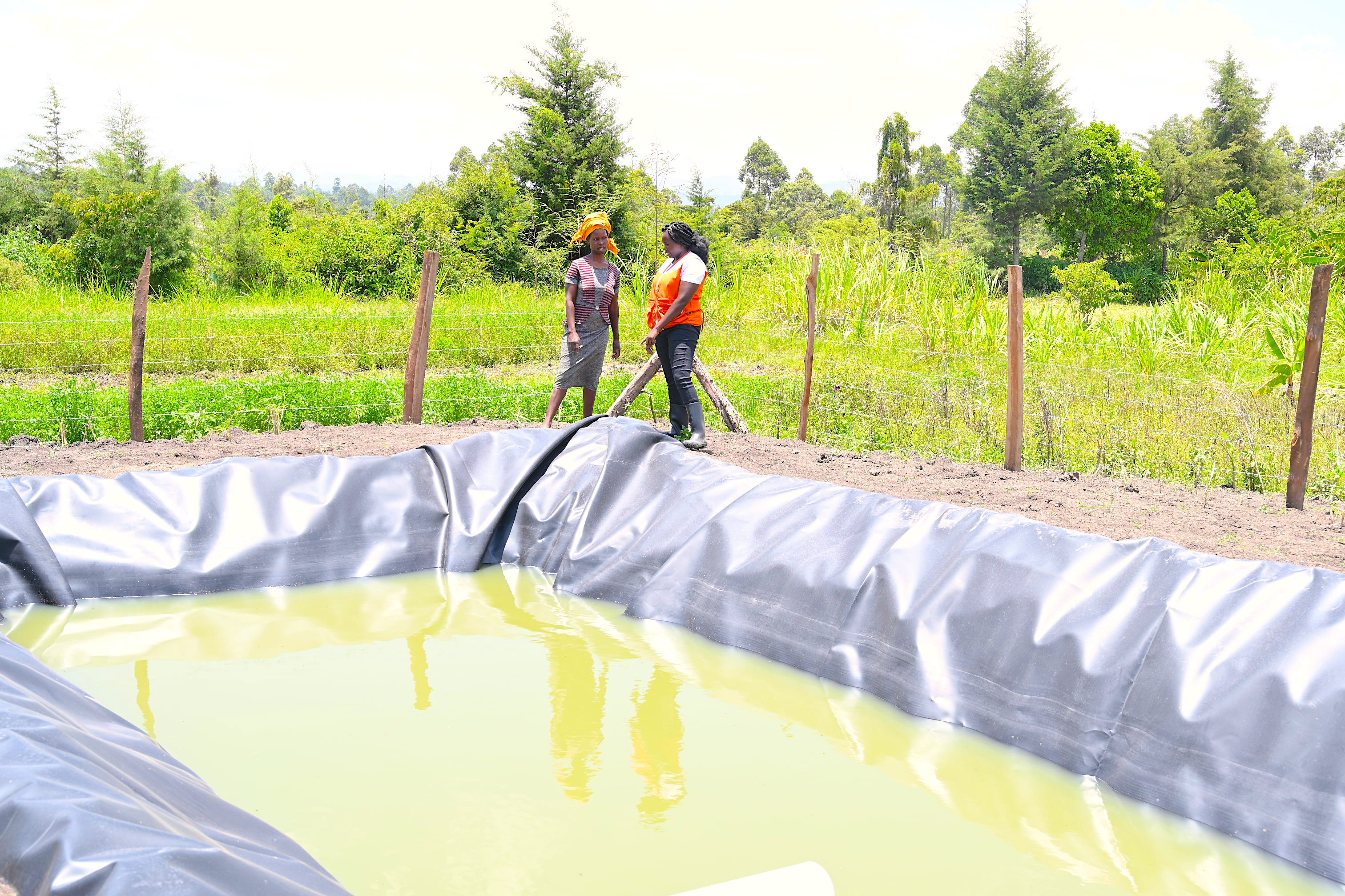 Beatrice benefitted from a dam liner provided by World Vision to improve to access to water for her produce