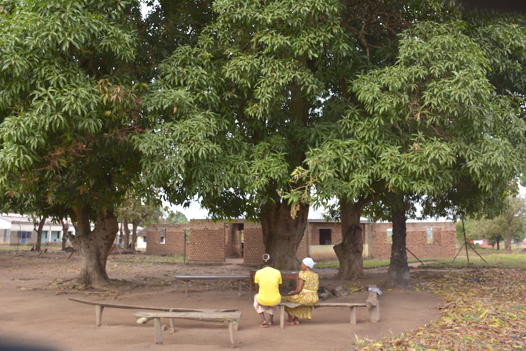 The makeshift classroom under the tree does not dampen Beta's enthusiasm.