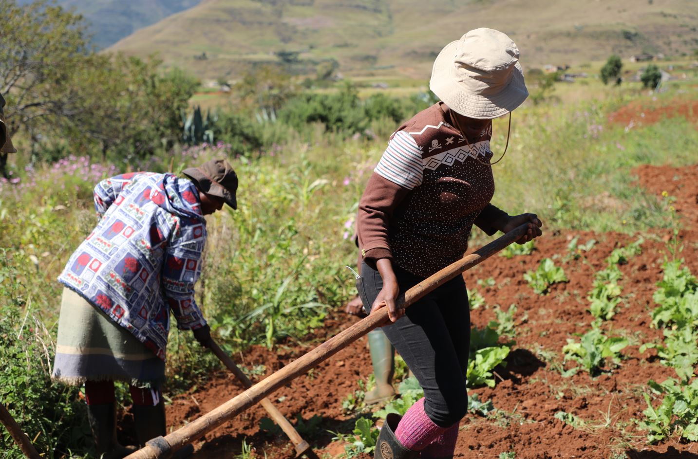  Strengthening Community Resilience