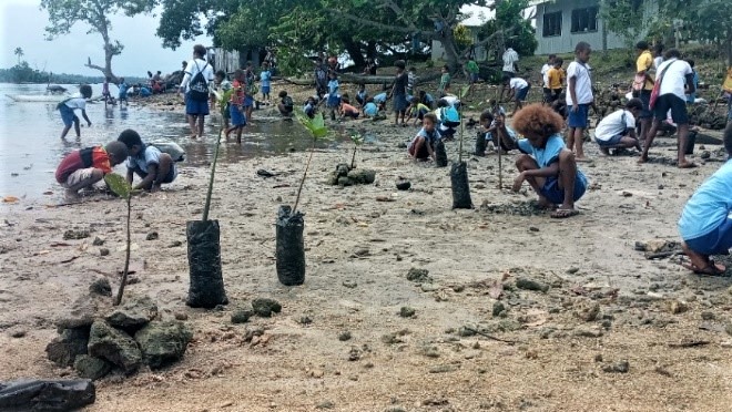 Children plant Mangrove to protect community against Climate   (7)