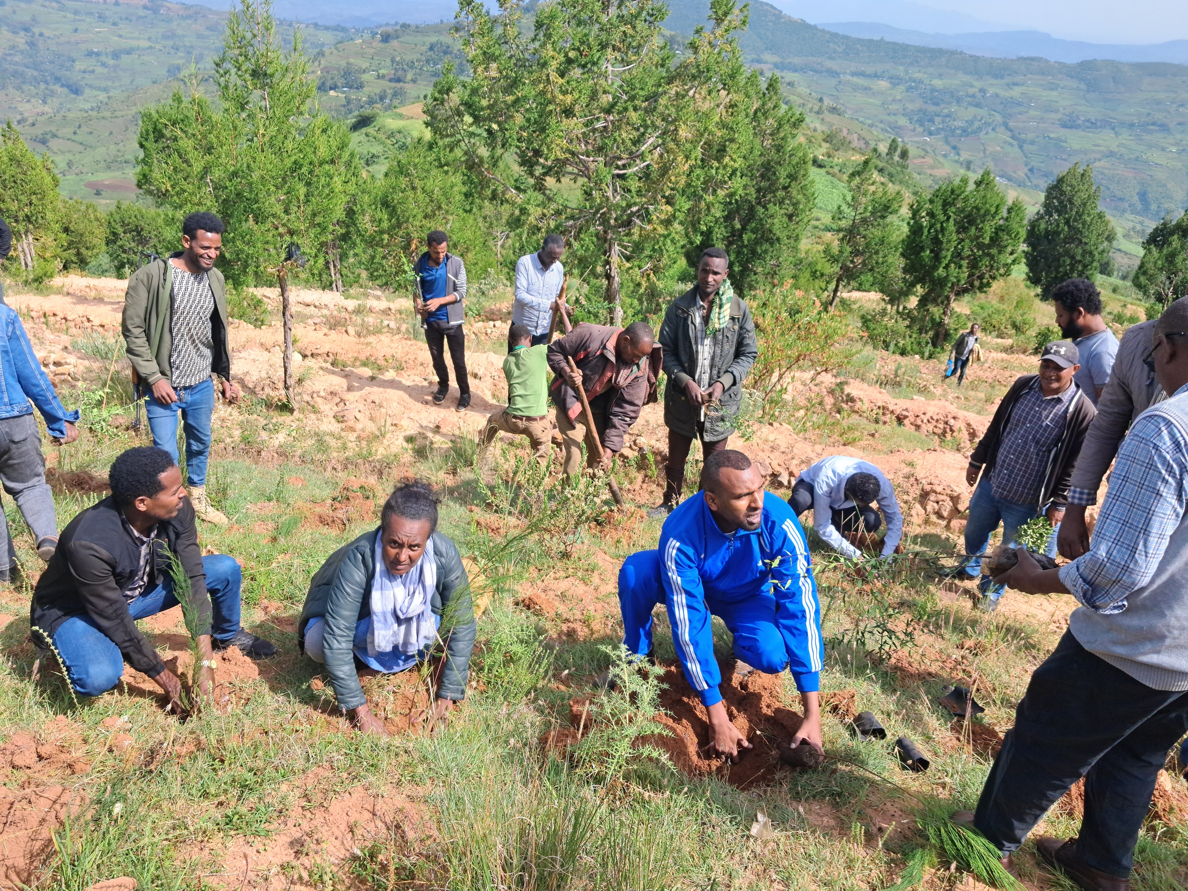 Community members planting tree