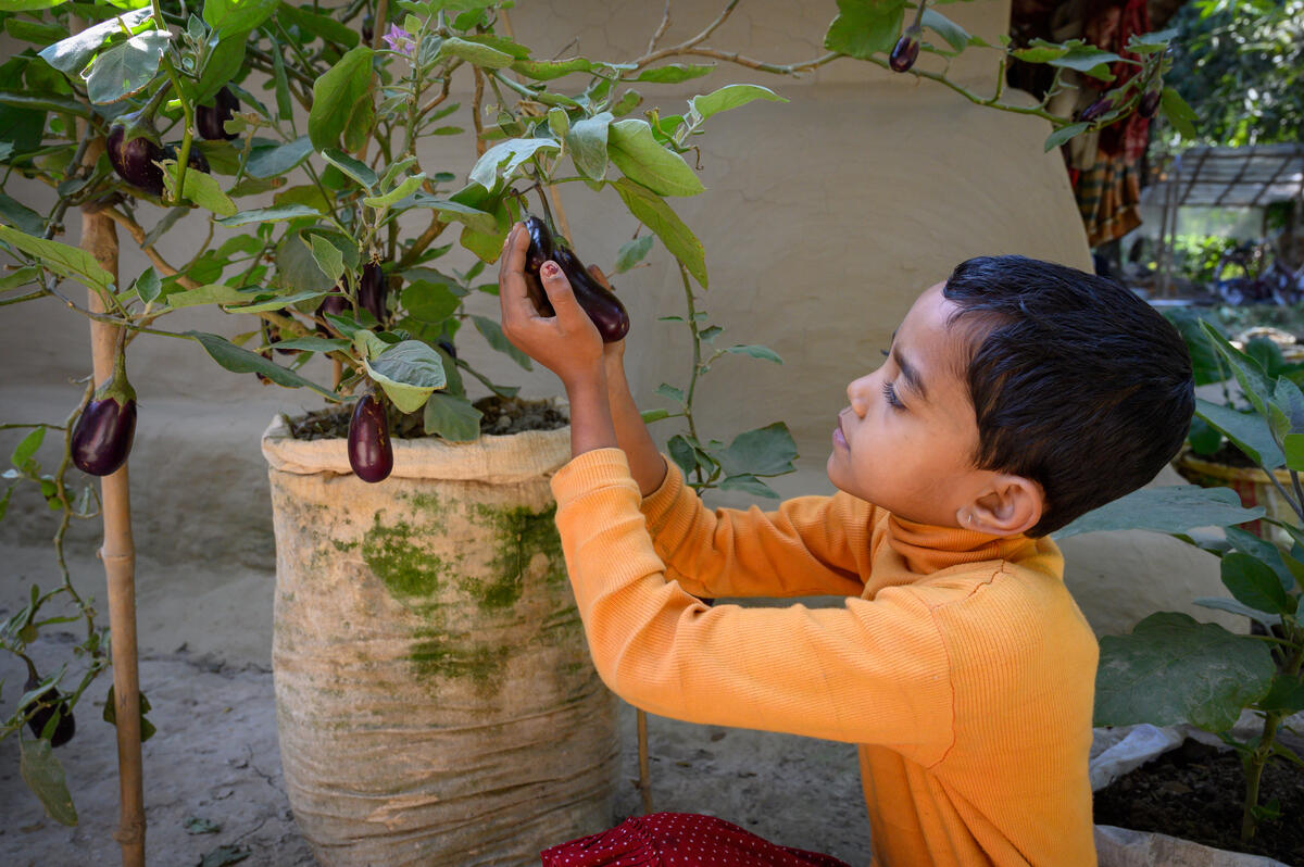 Pryanka is no longer as sick now she has access to fresh fruit and vegetables.