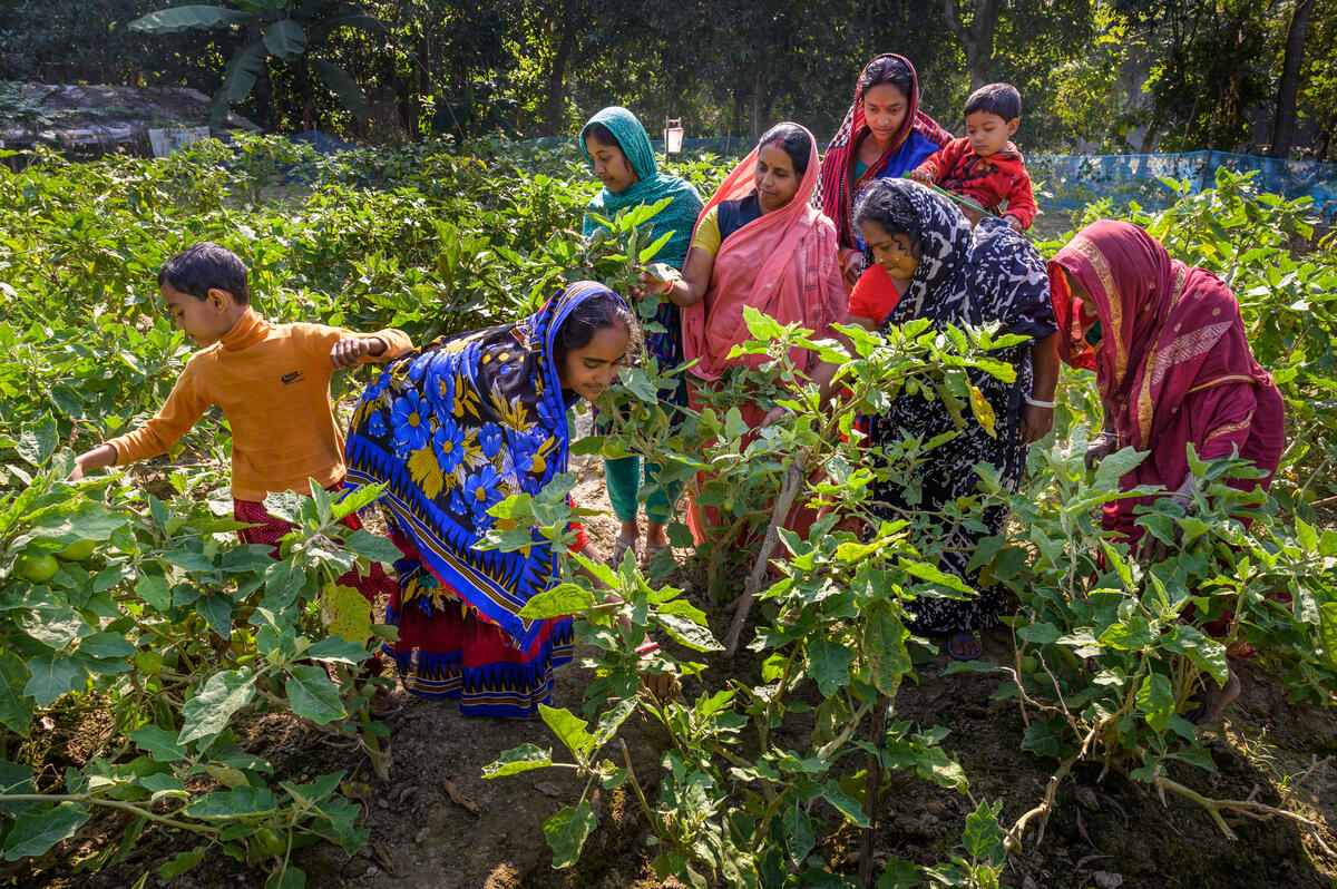 Sobita has become a lead farmer learning climate-smart farming techniques.