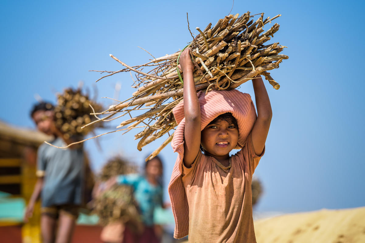 ENVIRONMENTAL PROTECTION: Many Rohingya children must collect firewood daily so their families can cook. Their parents worry about them going to the distant forest, but it was the only option.