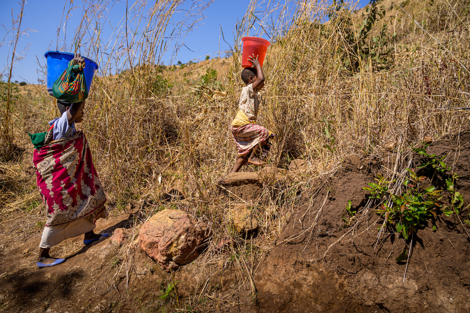 On one of their daily walks, Happiness will caution Ireen not to drop her bucket. 