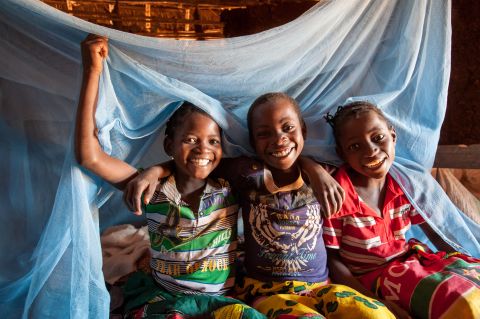 Chlidren with malaria net
