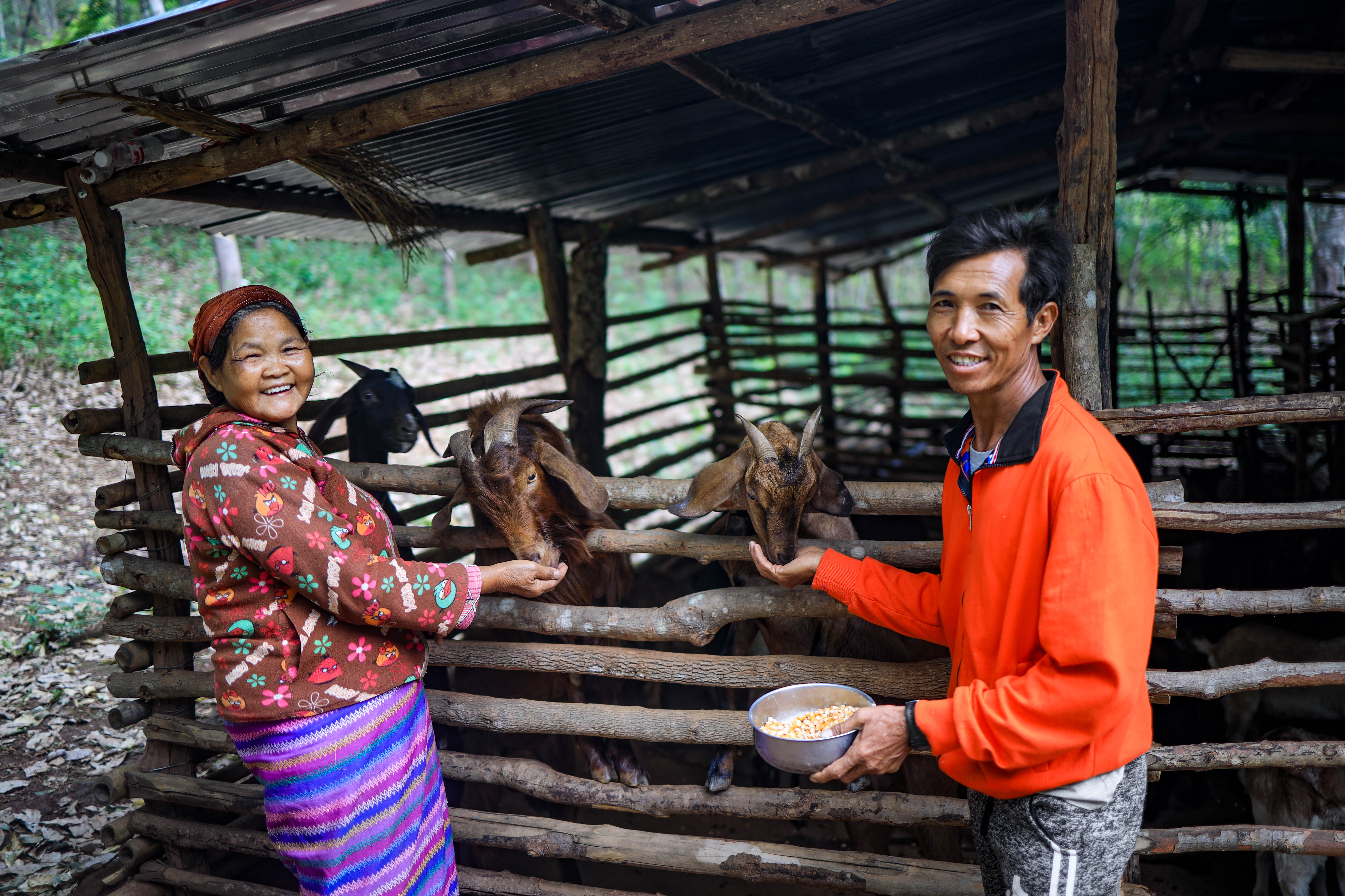 Ngwar Tar and Yan Ma Lay are thankful for the goats