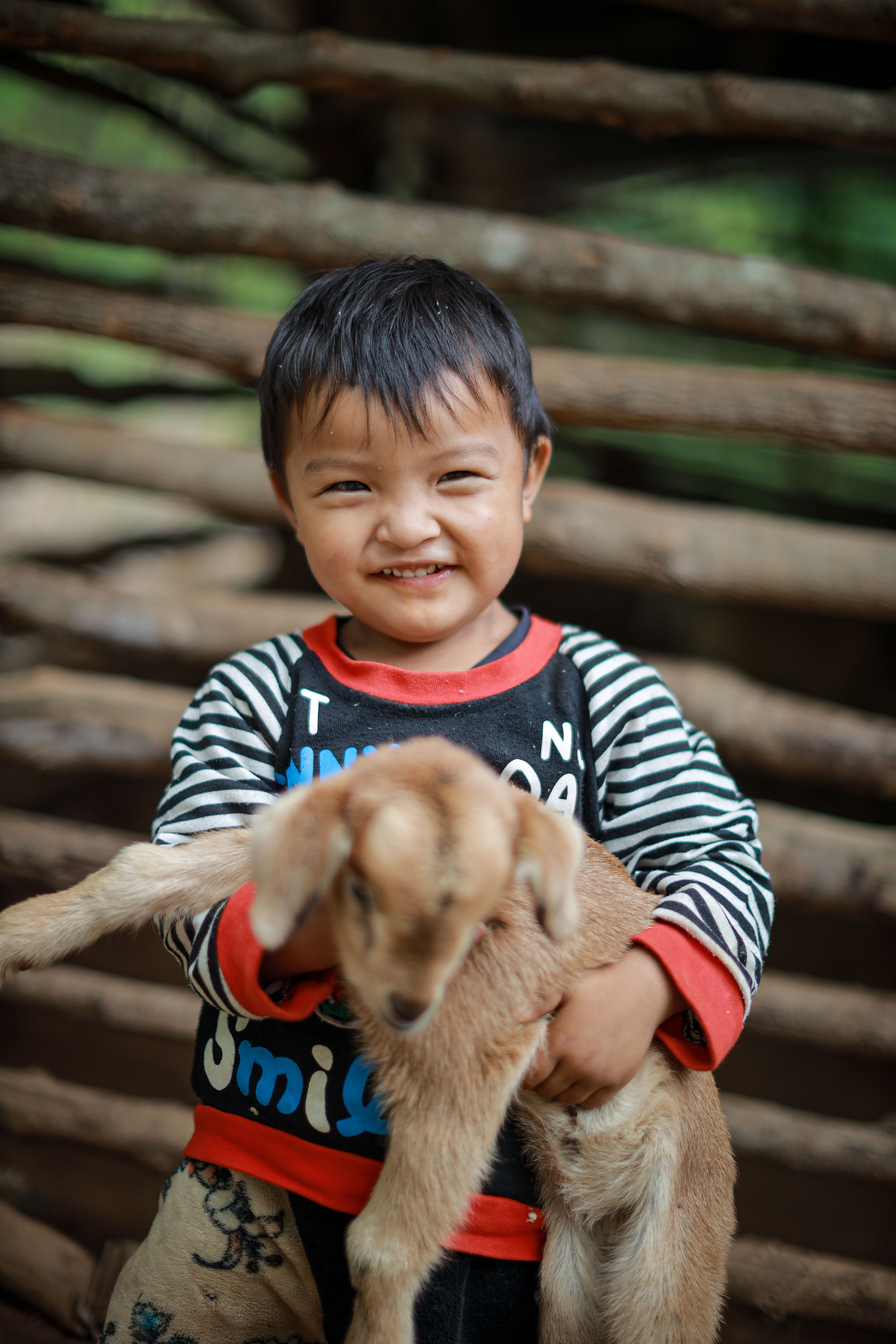 Ngwar Tar's grandchildren love playing with the goats