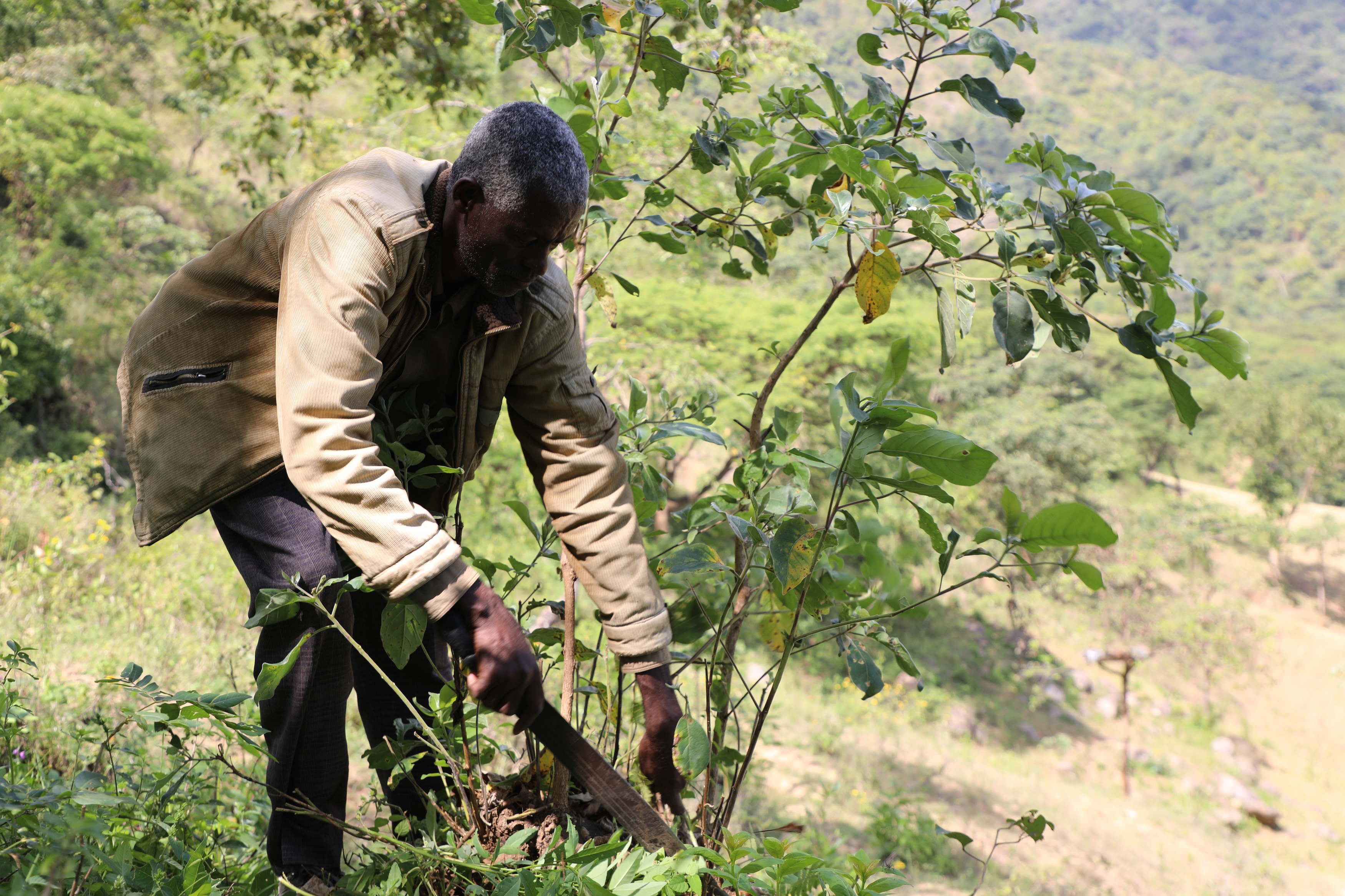 Girma exercising the FMNR technique 