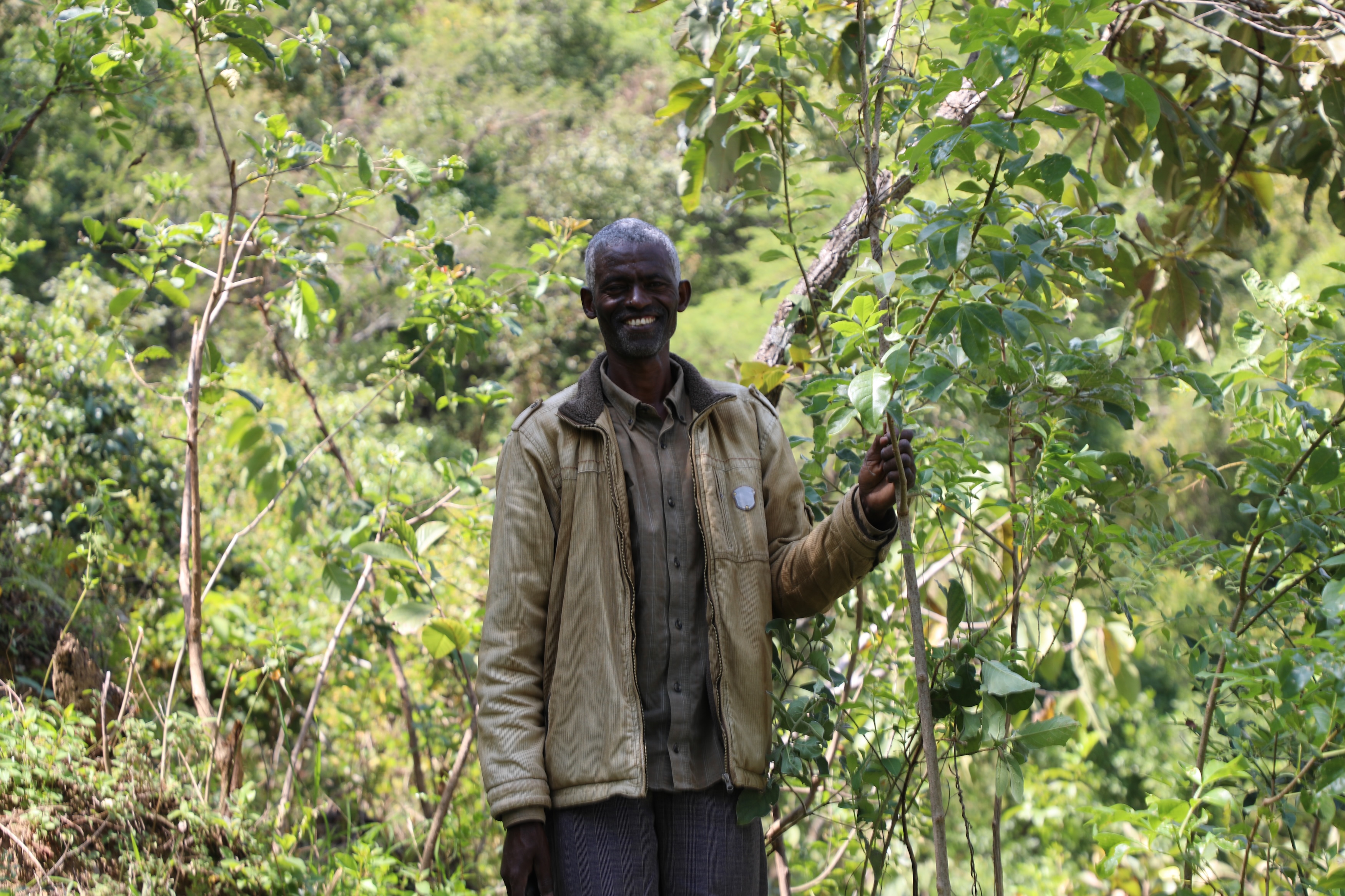 Girma at Denbile Ottora forests