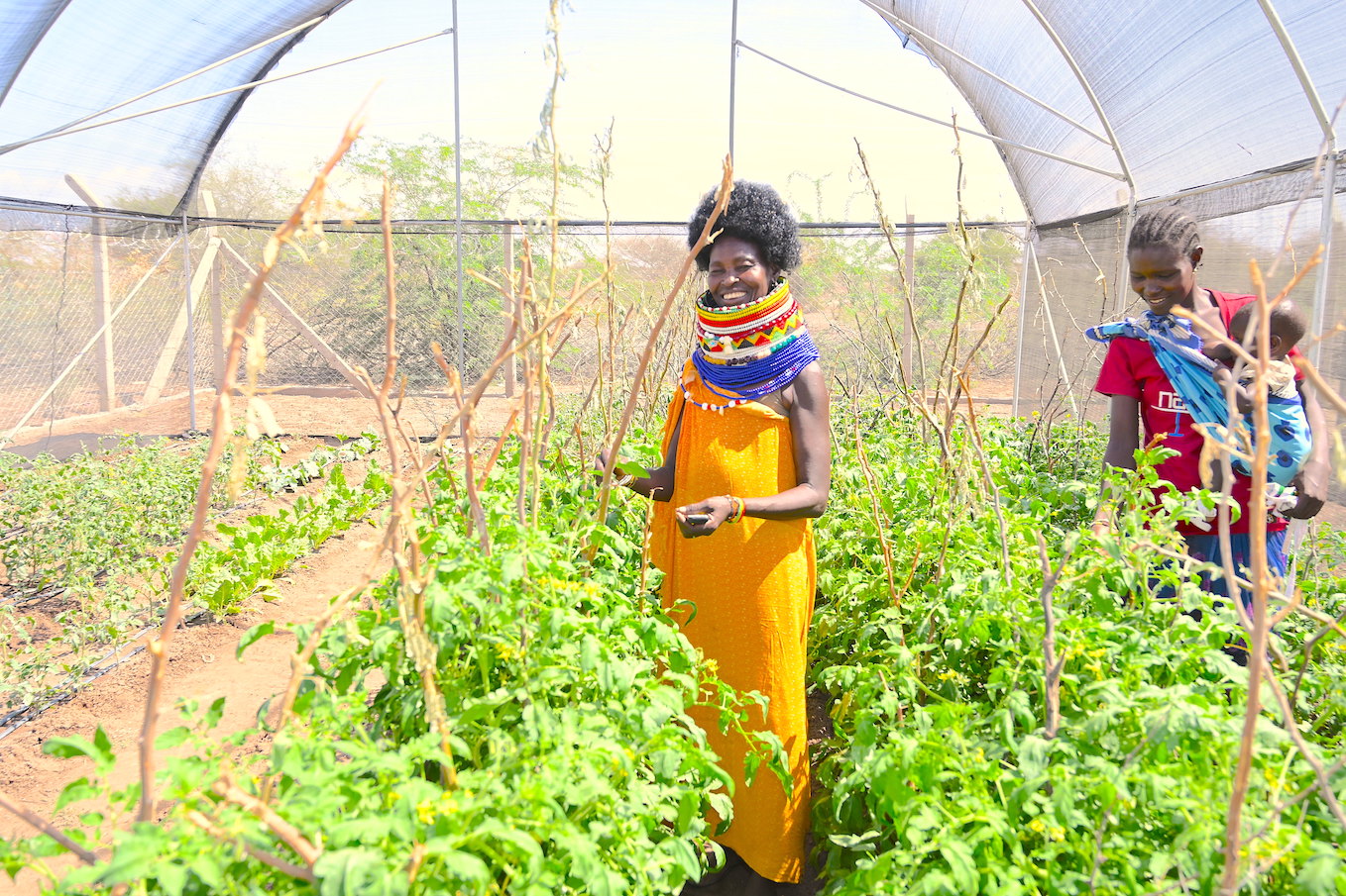 Climate-smart agricultural techniques increase crop yields in dry areas that are adversely affected by climate change. ©World Vision Photo/Sarah Ooko.