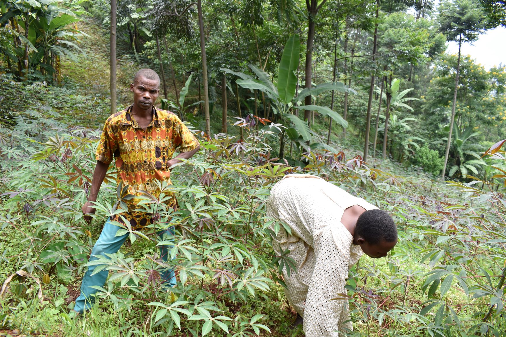 Patrice with his wife Evelyne farming