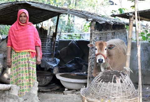 A Woman stands with her cow