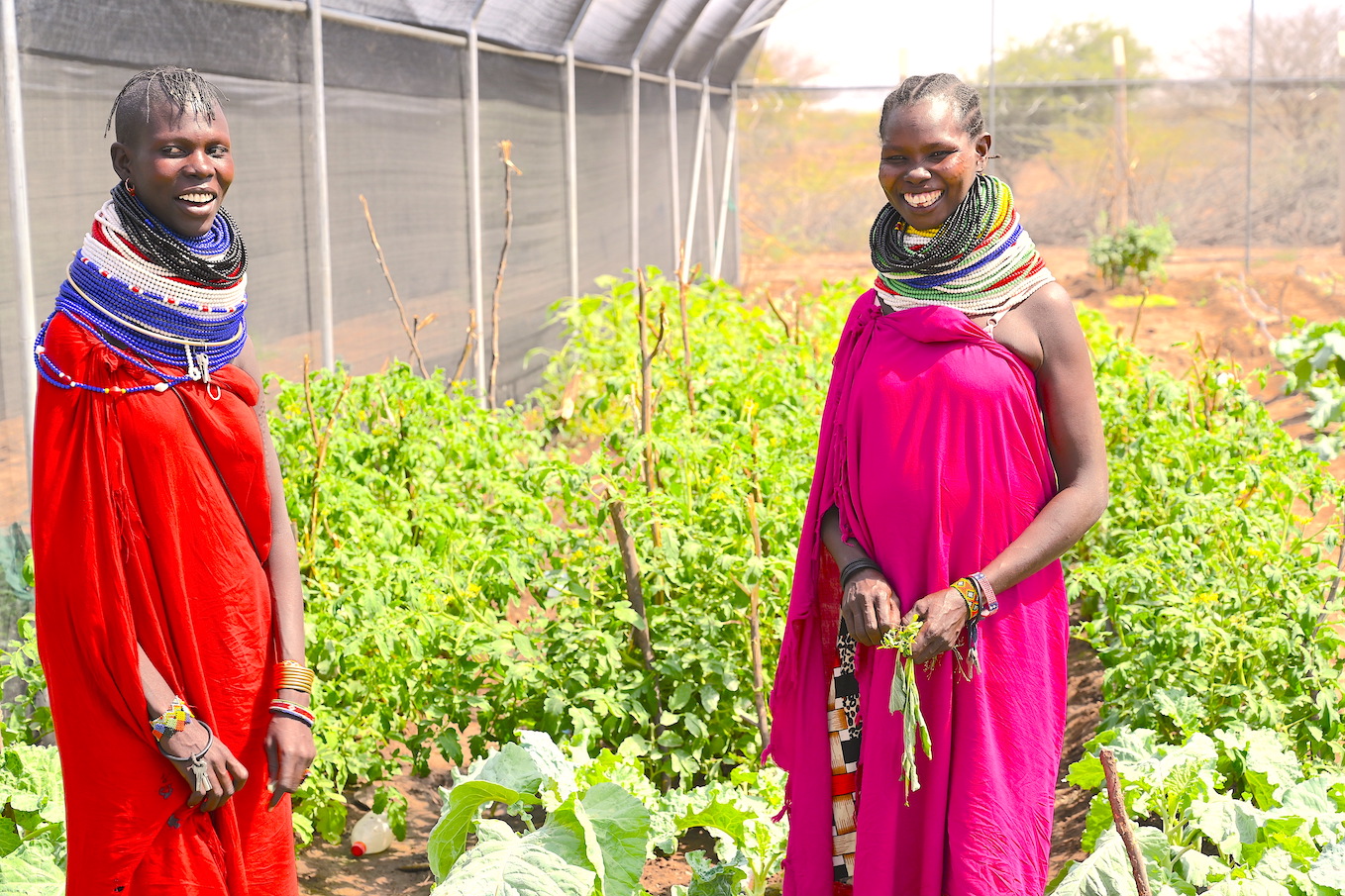 Through the KDREAM project, World Vision is empowering the youth to become environmental conservation champions. ©World Vision Photo/Sarah Ooko.