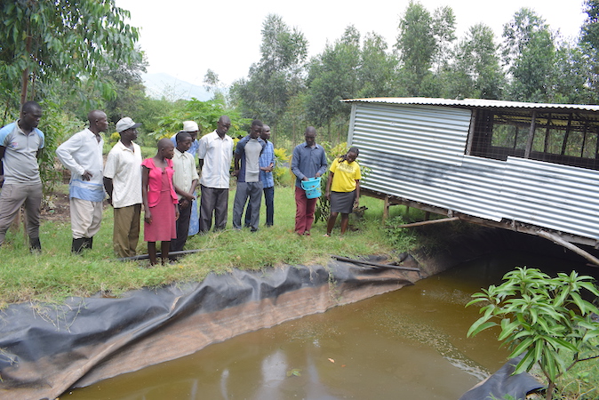 Communities in Homa Bay County are increasily building chicken houses above fish ponds, which allow chicken drops to fall into the water and fertilise it. This increases fish yields. ©World Vision Photo/Irene Sinoya.
