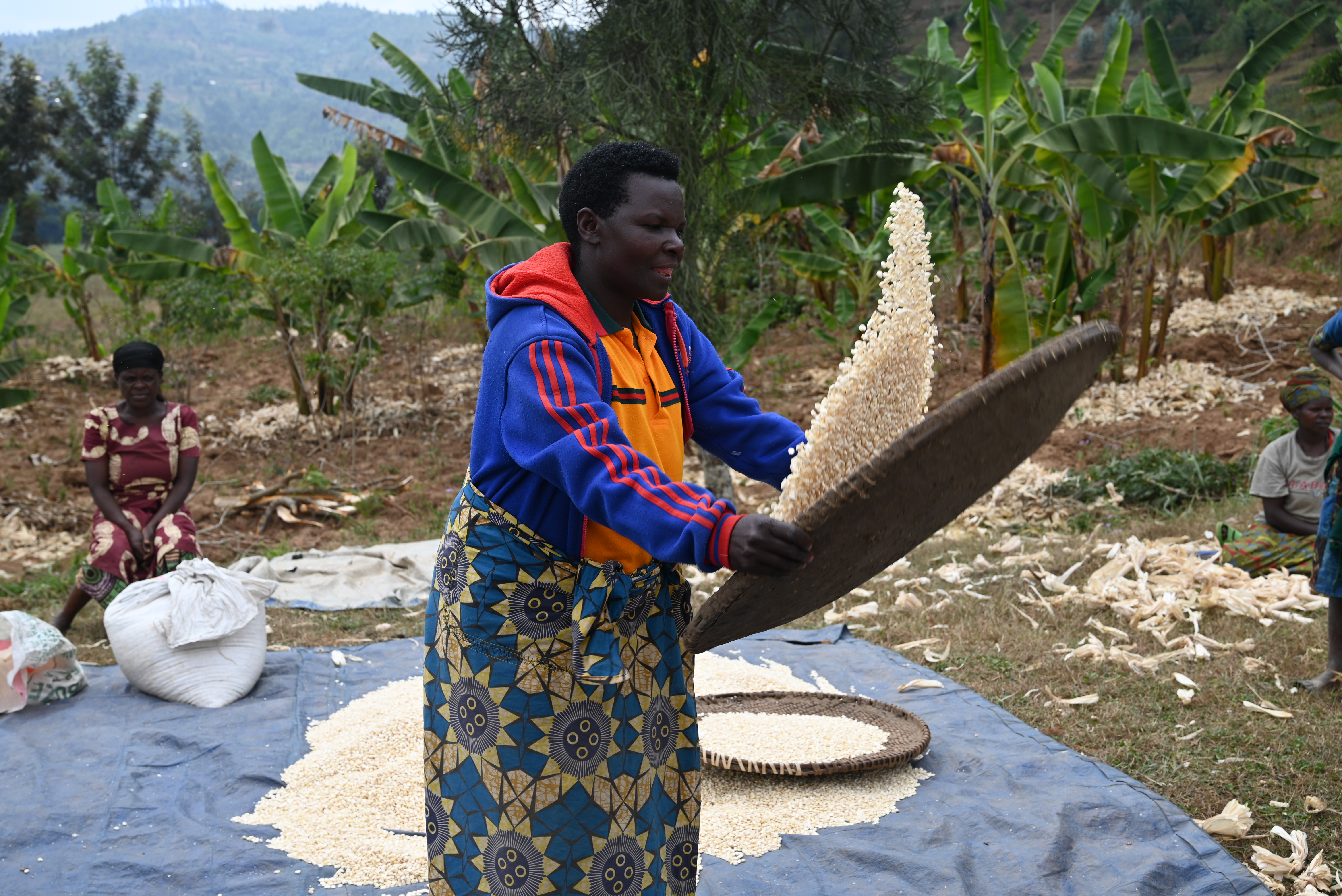 Valerie Winnowing her maize getting ready for the buyer
