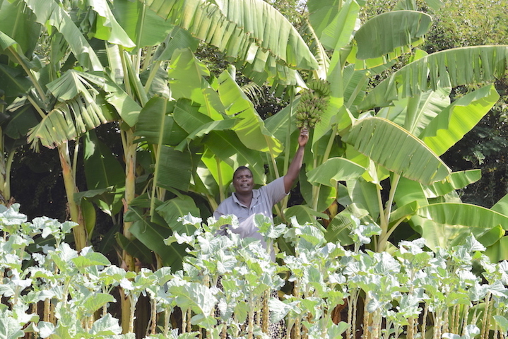 The different types of trees on Rebecca's farms have helped in boosting agricultural productivity. ©World Vision Photo/Sarah Ooko.