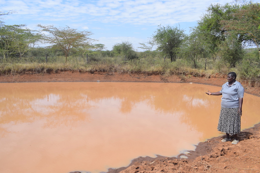 Through water harvesting, Rebecca gets sufficient water to water her crops during the dry season. 