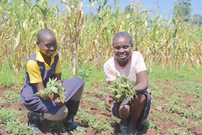 To raise additional income, Annah has used some of the proceeds from the brick business to venture into vegetable farming, maize growing and livestock keeping (sheep, goats and chicken).  “Farming gives us nutritious food to eat at home. We also sell some of the crops and animal products to get money,” she says.