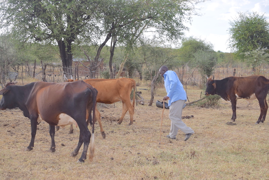 Titus used to walk for long distances in search of pasture for his livestock. ©World Vision Photo/Sarah Ooko.