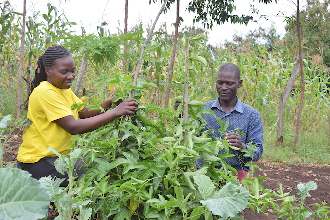 Michael and his wife xxxx use pond water to fertilise their land which improves crop productivity.